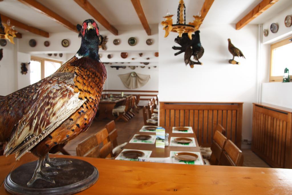 Motel Casa Olteneasca Рымнику-Вылча Номер фото